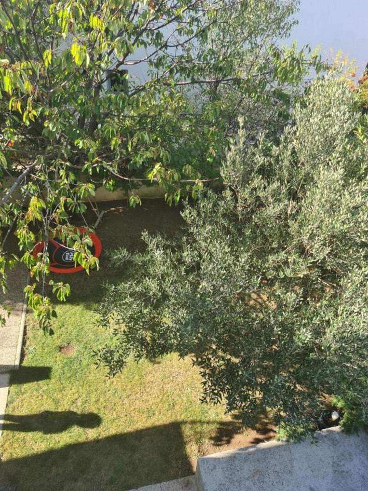 Villa Neda 沃迪切 客房 照片